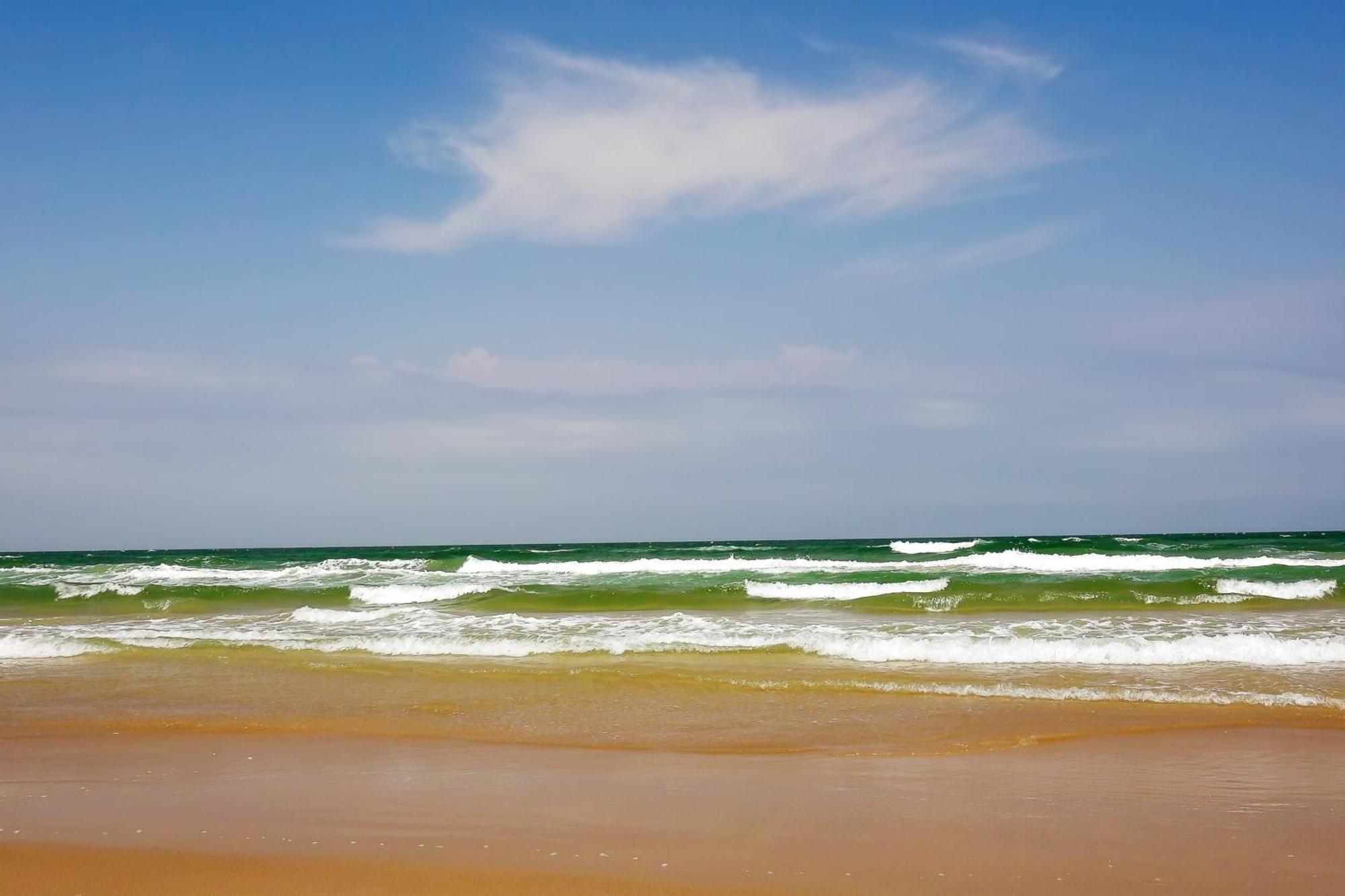 Sunchase IV Villa South Padre Island Dış mekan fotoğraf