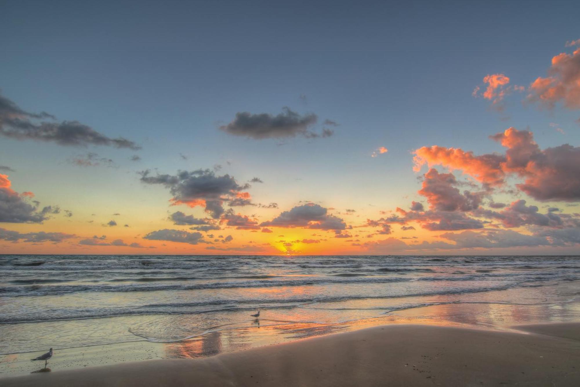Sunchase IV Villa South Padre Island Oda fotoğraf